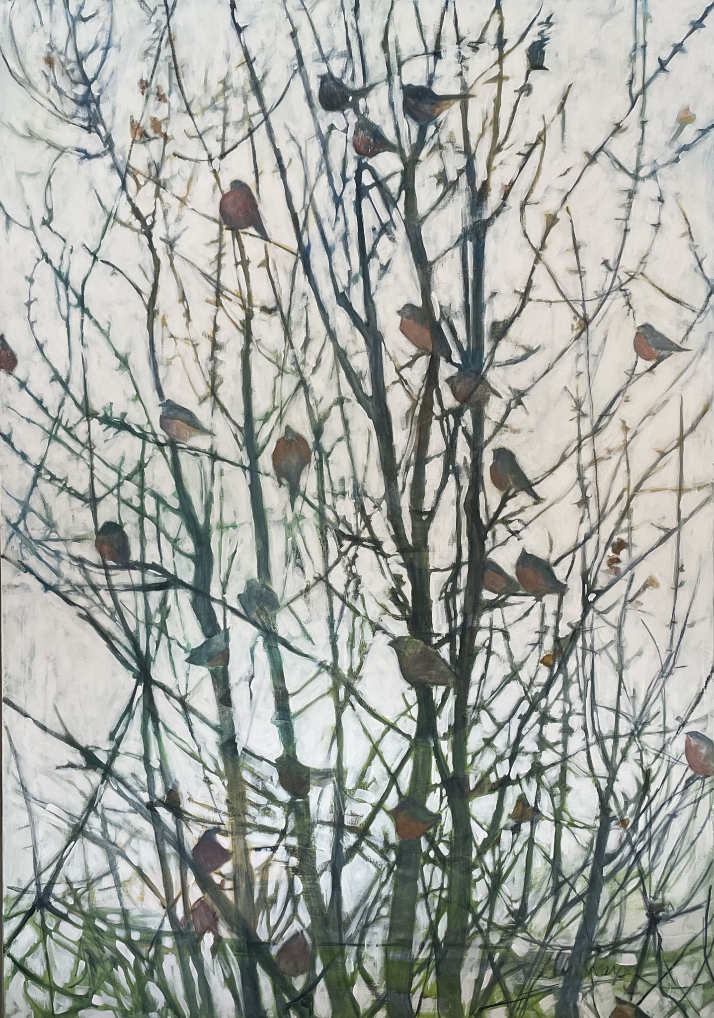 Bird Ellipse by Grace W Sharpe