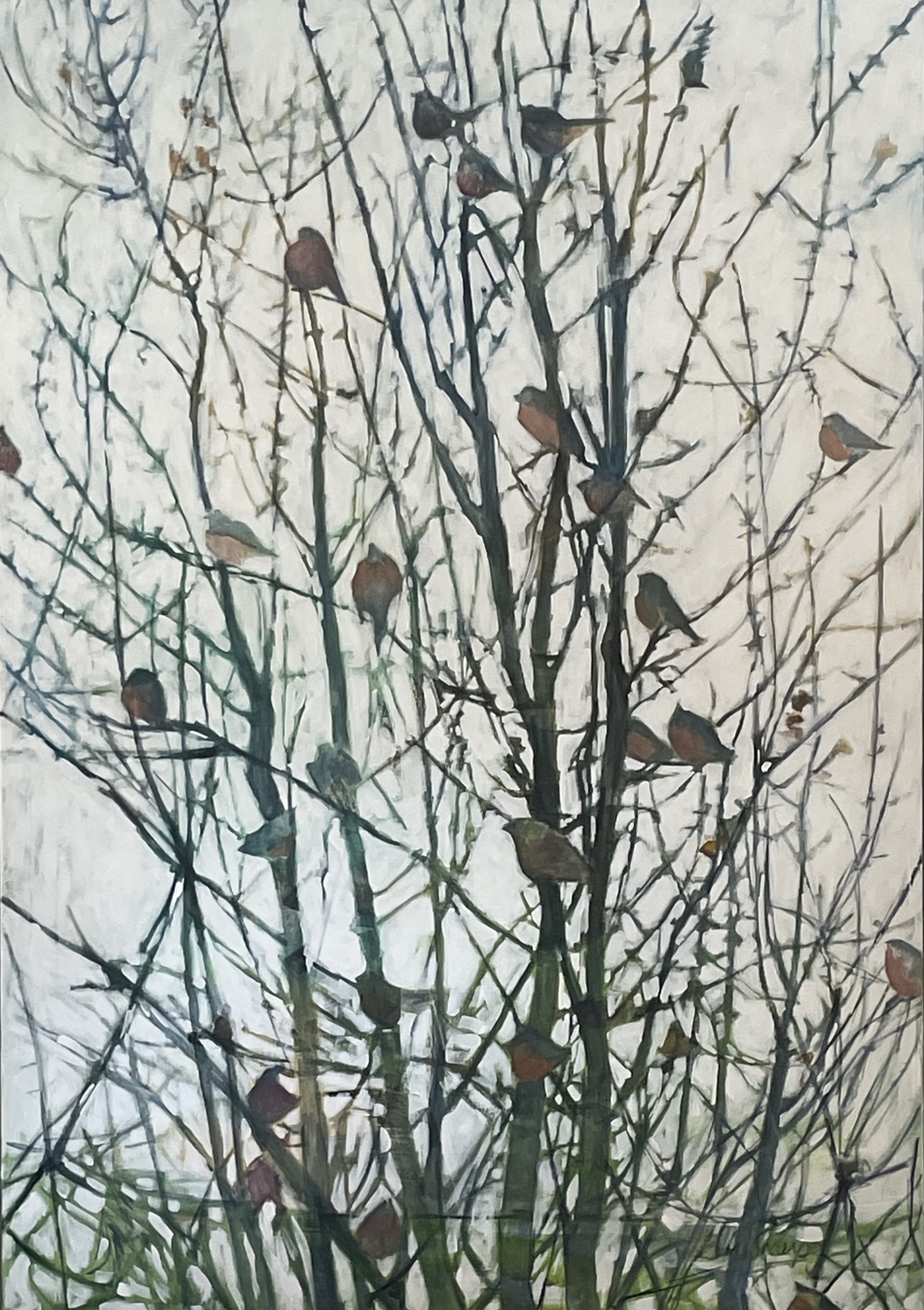 Bird Ellipse by Grace W Sharpe